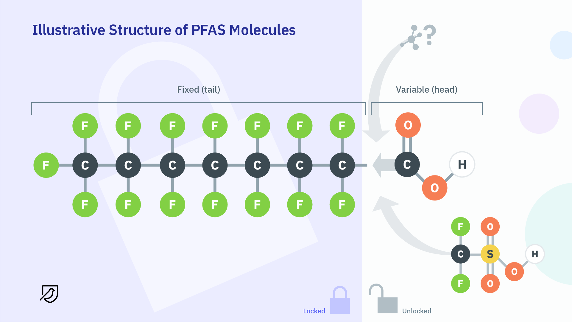 PFAS-molekyylin perusrakenne