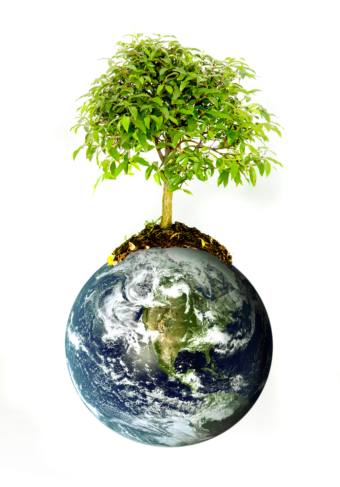 protect the environment concept - earth with a tree isolated over a white background