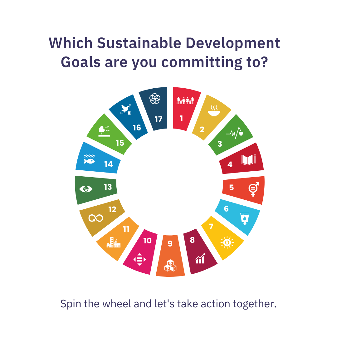 UN SDG Wheel Clean(1)