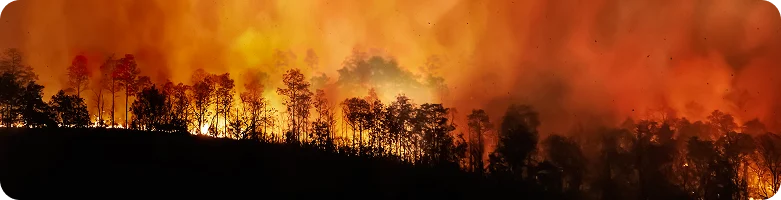 Blog – Keeping employees safe in severe weather – 3