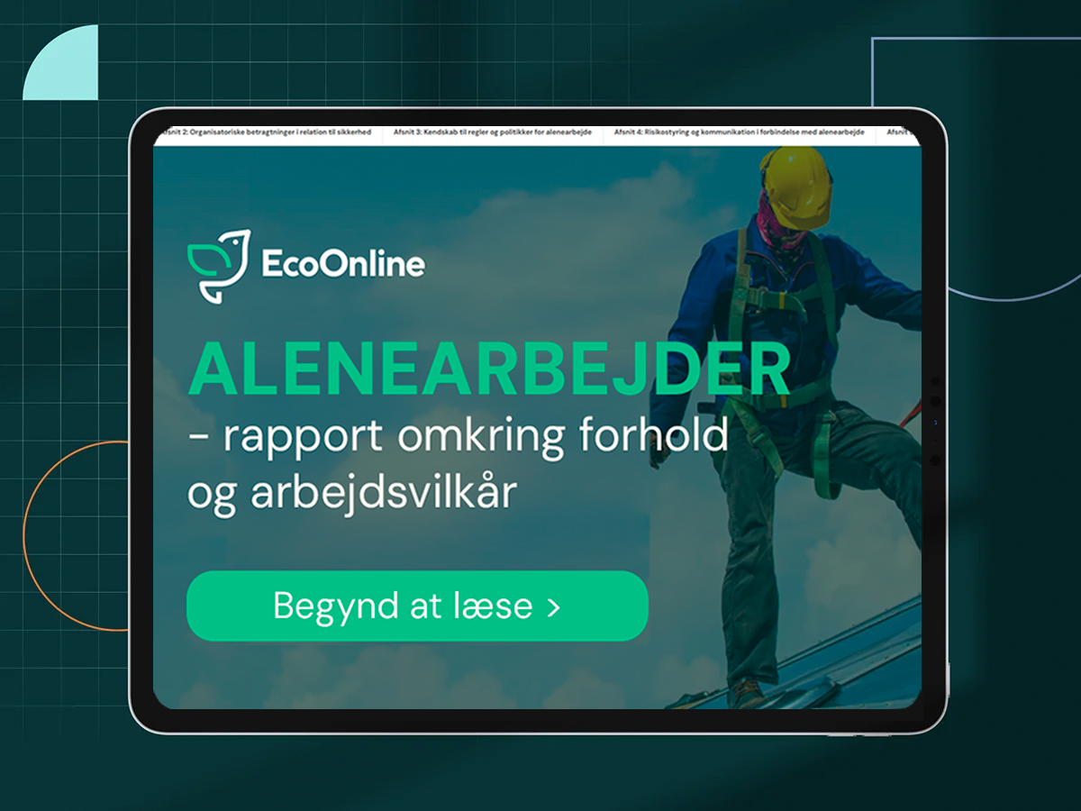 Alenearbejder Report Cover