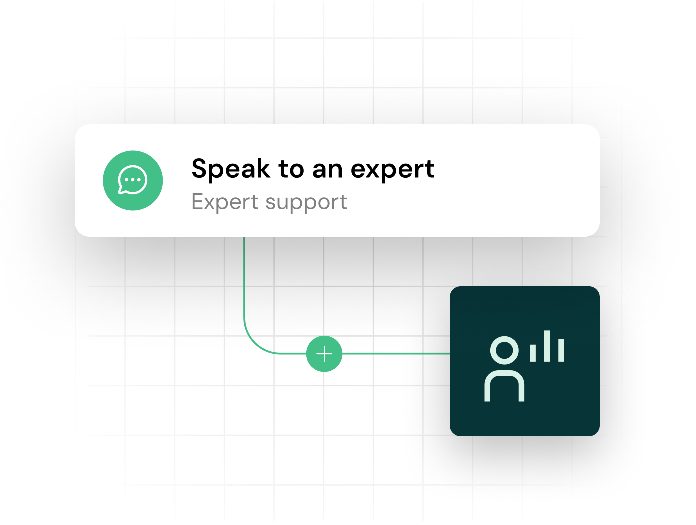 Expert support