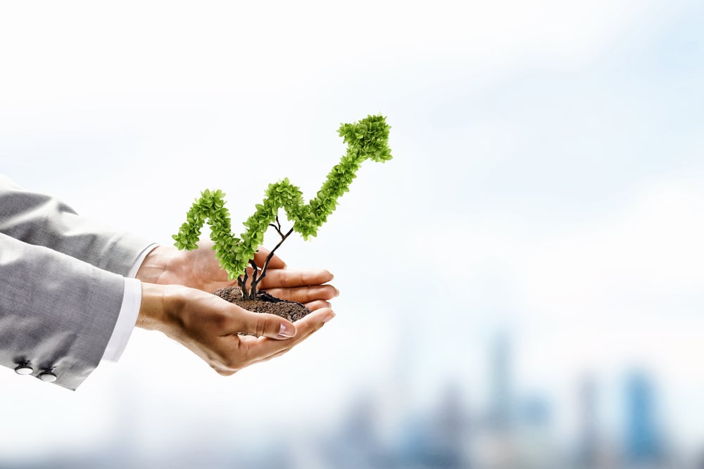 Image20of20human20hands20holding20plant20shaped20like20arrow-2