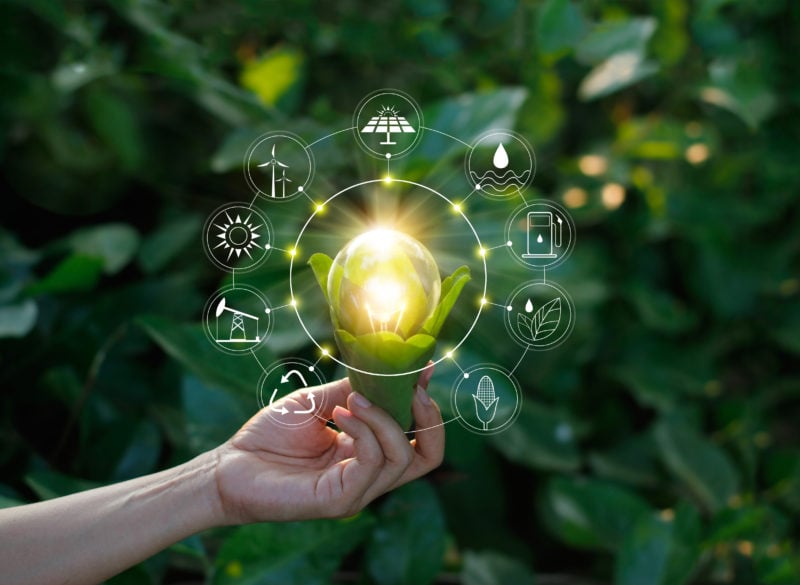 innovation_nature-800×585-2