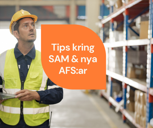 SE Image Webinar SAM February 2025