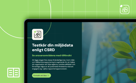 E Guide Projektplan For Ditt Miljoarbete