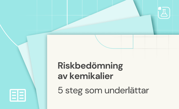 Pdf Chemical Safety Riskbedomning Av Kemikalier