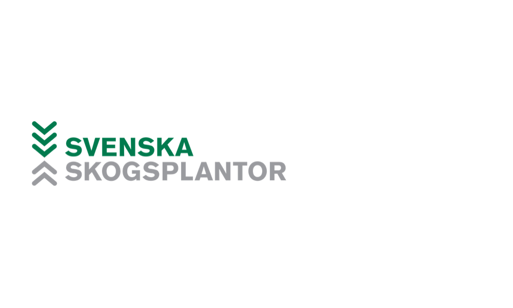 Skog Something