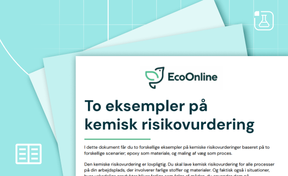 Pdf Chemical Safety Real Life Eksempel Pa Kemisk Risikovurdering