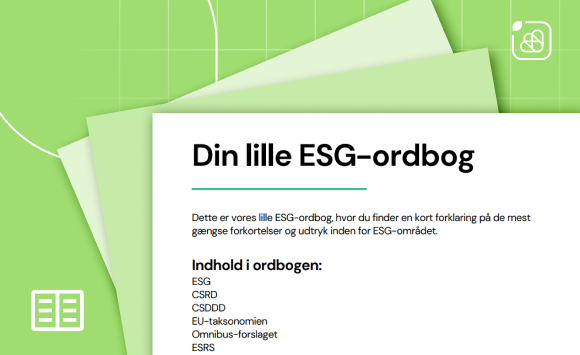 Pdf Din Lille Esg Ordbog