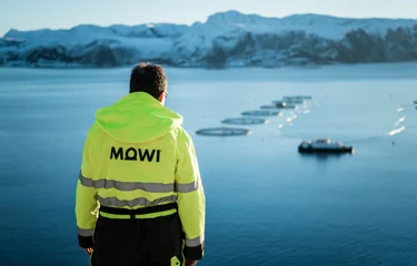 Mowi Sea