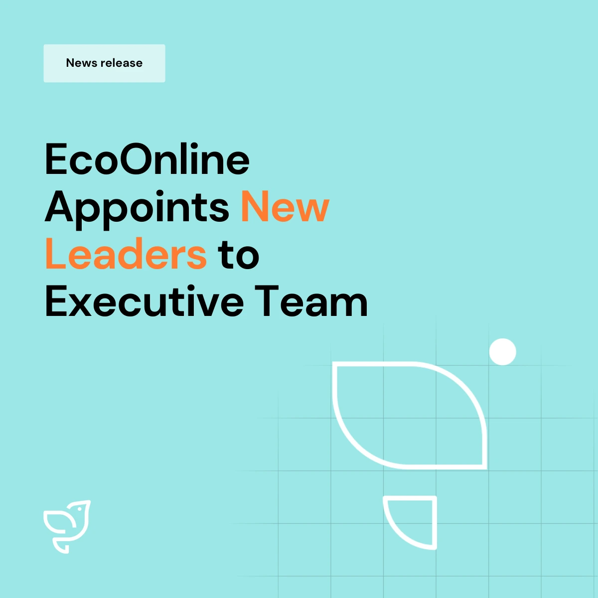 New Leaders Brand News Release Template