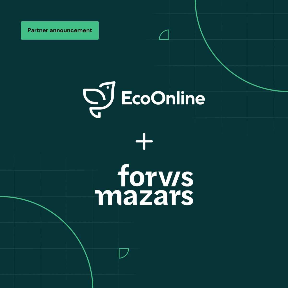 Forvis mazars news release