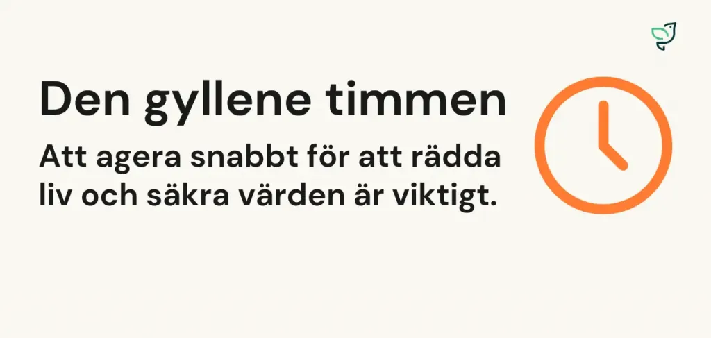 Gyllene timmen - krisberedskap
