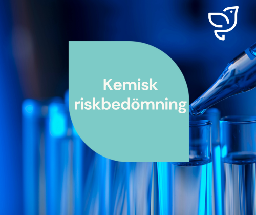 SE Image Webinar Risk Assessment November 2025