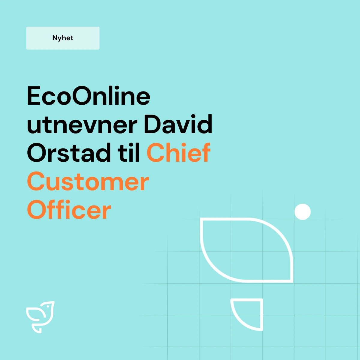 NO New CCO News Release Tile