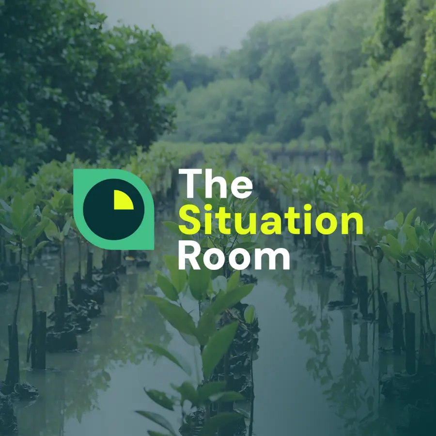 Row Of Saplings In Water