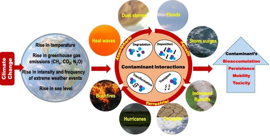 fate of contaminants graphic