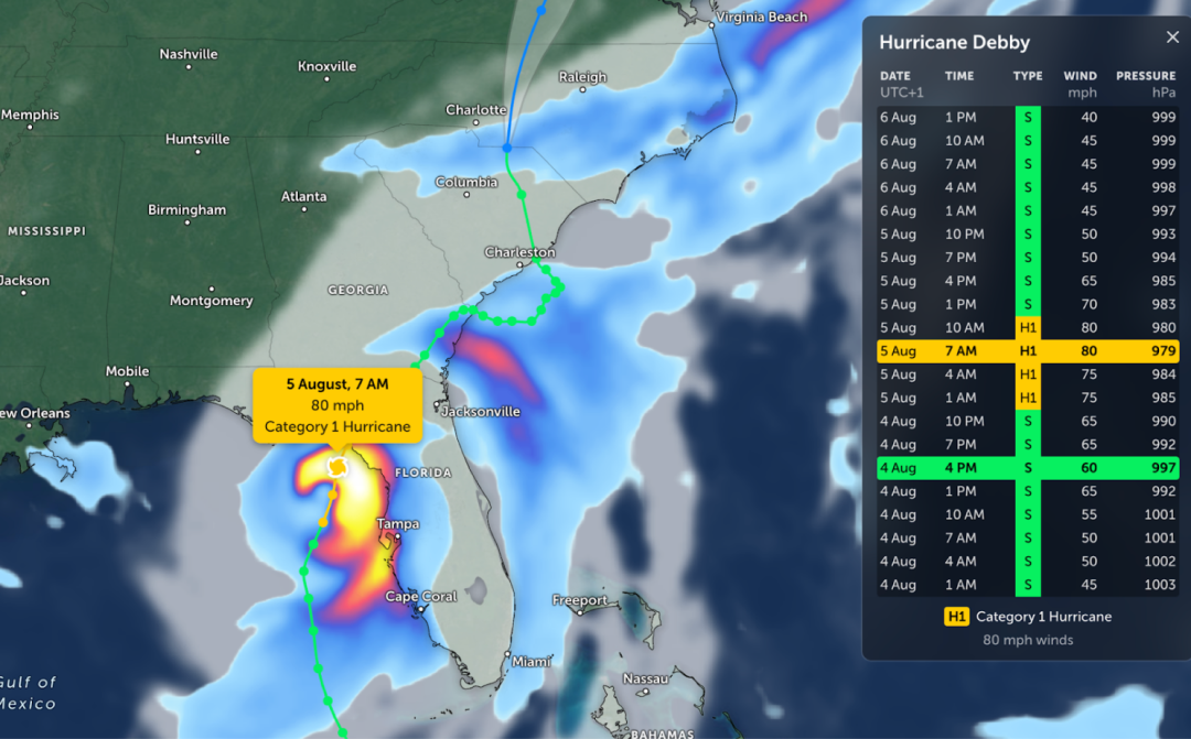 Hurrican Debby Image Scaled