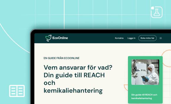 E Guide Chemical Safety Din Guide Till Reach Och Kemikaliehantering